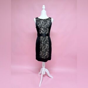 To The Max Black Lace Inset Sheath Dress - Women's Cocktail Dress